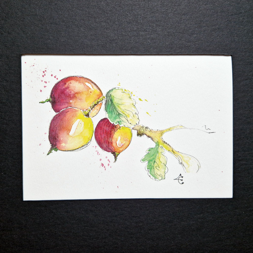 Branche de cassis 2 Branche de cassis – Image 2