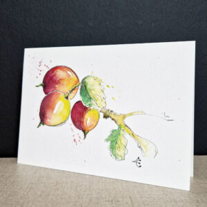 carte aquarelle d'une branche de cassis et ses fruits