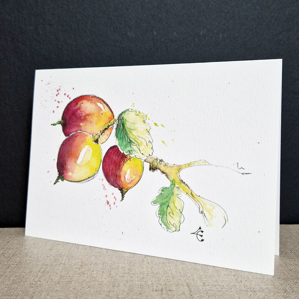 Branche de cassis 1 carte aquarelle d'une branche de cassis et ses fruits