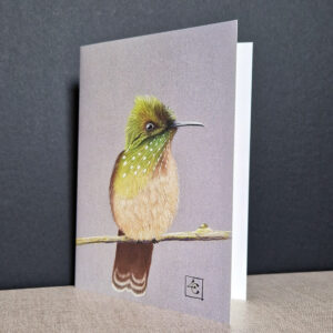 Colibri vert à pois blancs