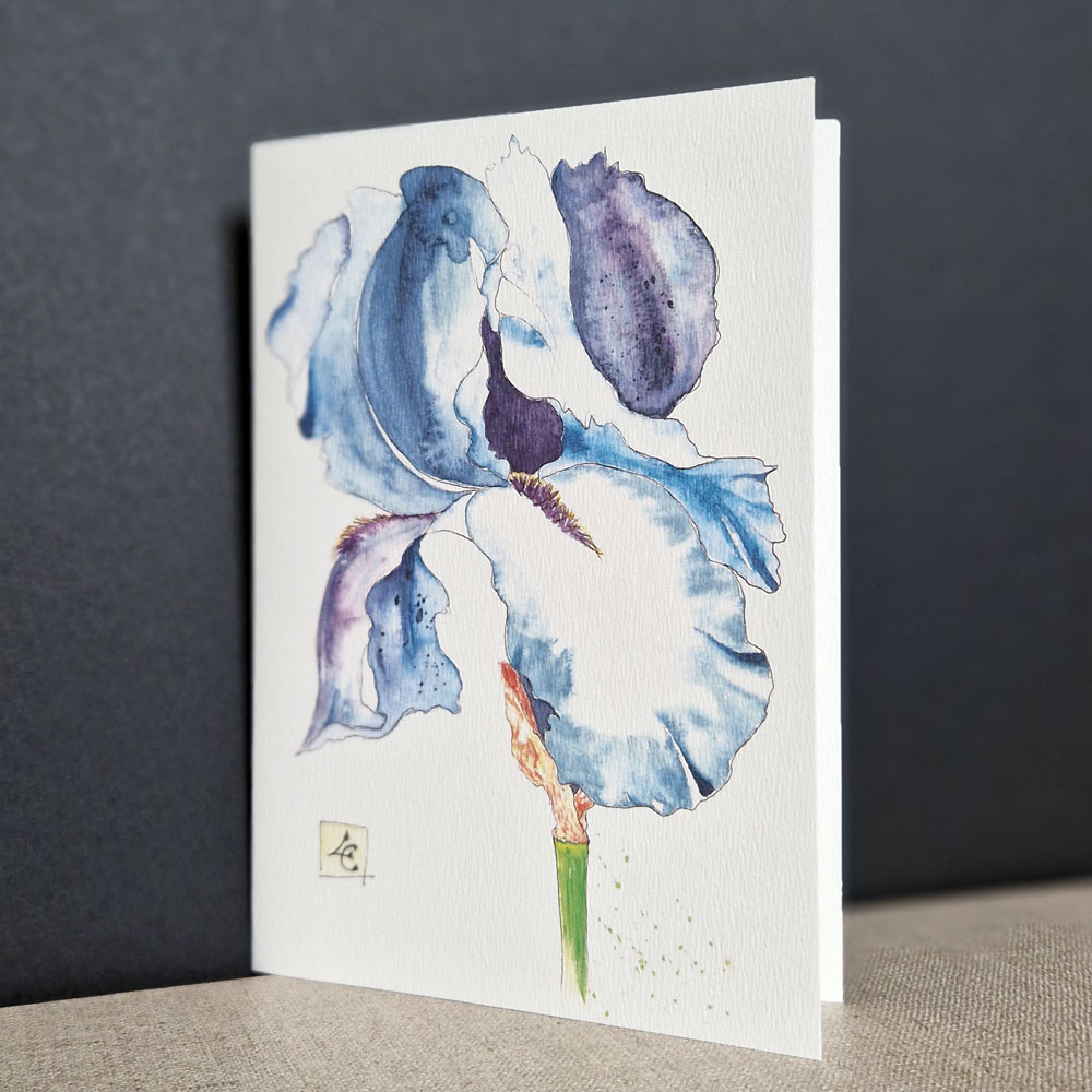 Iris bleu violet 1 iris en carte postale Aquarelle végétal