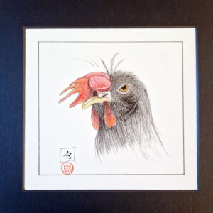 La poule mal coiffée