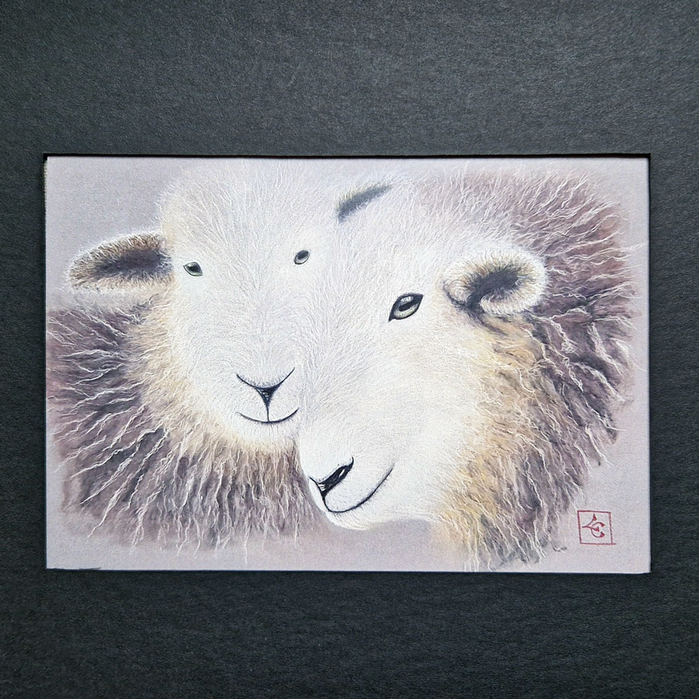 Les deux moutons 2 dessin mouton aquarelle