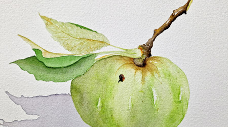 aquarelle-vegetale-vert