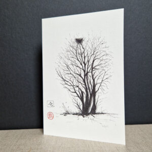 encre de chine et carte postale d'un arbuste avec un nid a son sommet