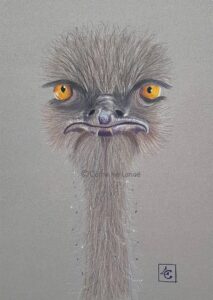 autruche pastel
