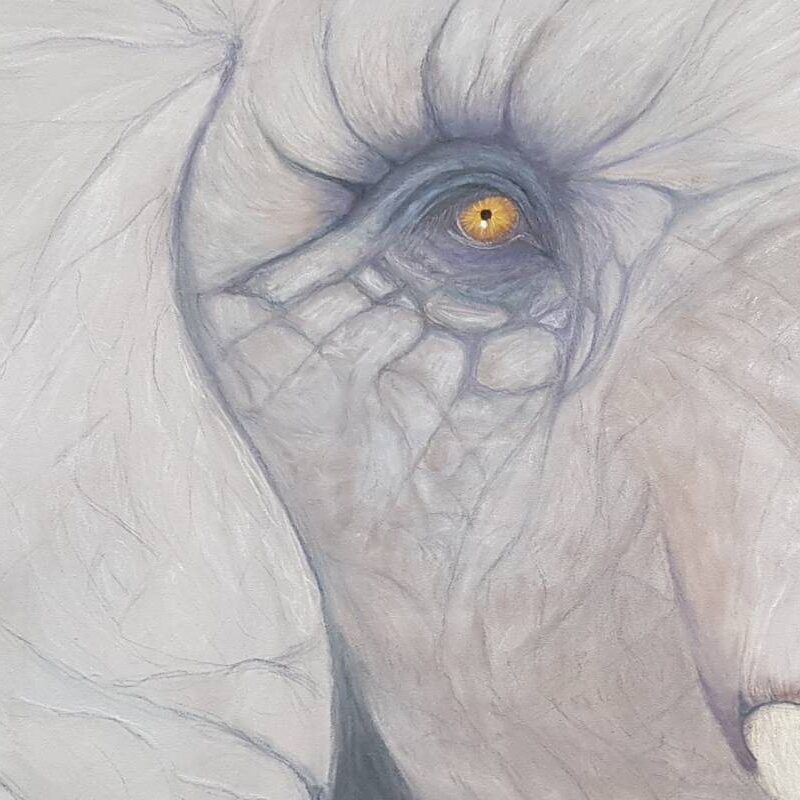 déssin éléphant au pastel