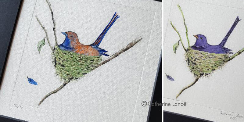 gravure sur zinc d'un oiseau dans son nid