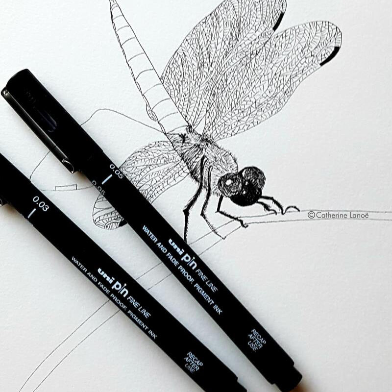 libellule-encre-en-cours-cp_c