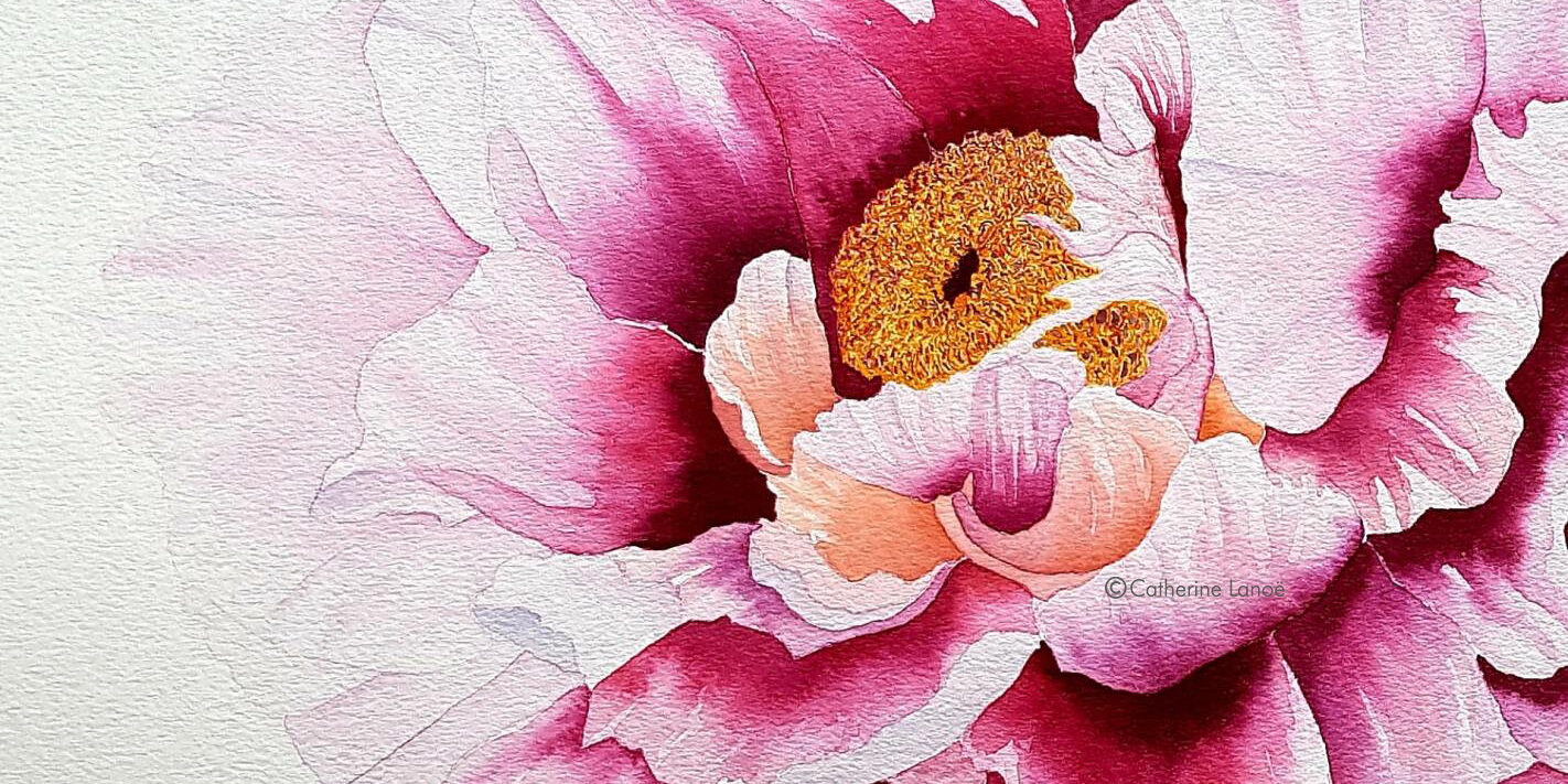 Aquarelle végétale une pivoine