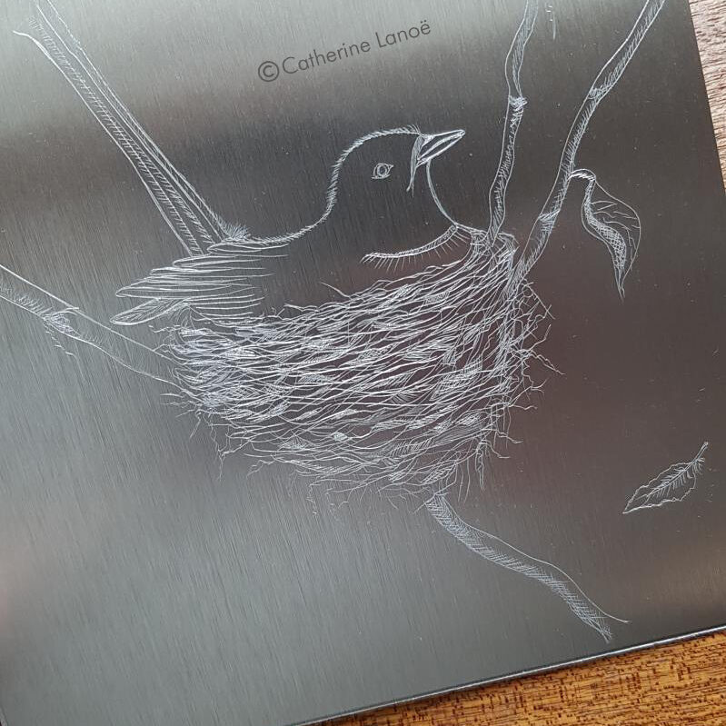 apercu de la paque de zinc et de la gravure