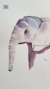 portrait a l'aquarelle d'un jeune éléphant