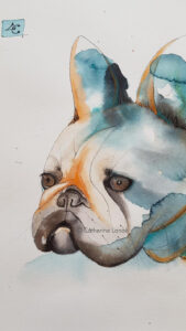 portrait d'un bouledogue technique aquarelle catherine lanoe