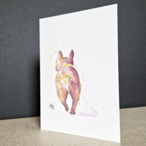 Bouledogue de dos