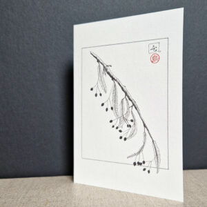 carte postale de catherine lanoe avec une branche de tilleul noir à l'encre de chine