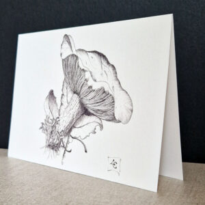 Champignon a l'(encre de chine finesse du trait et idée pour envoyer une carte postale botanique
