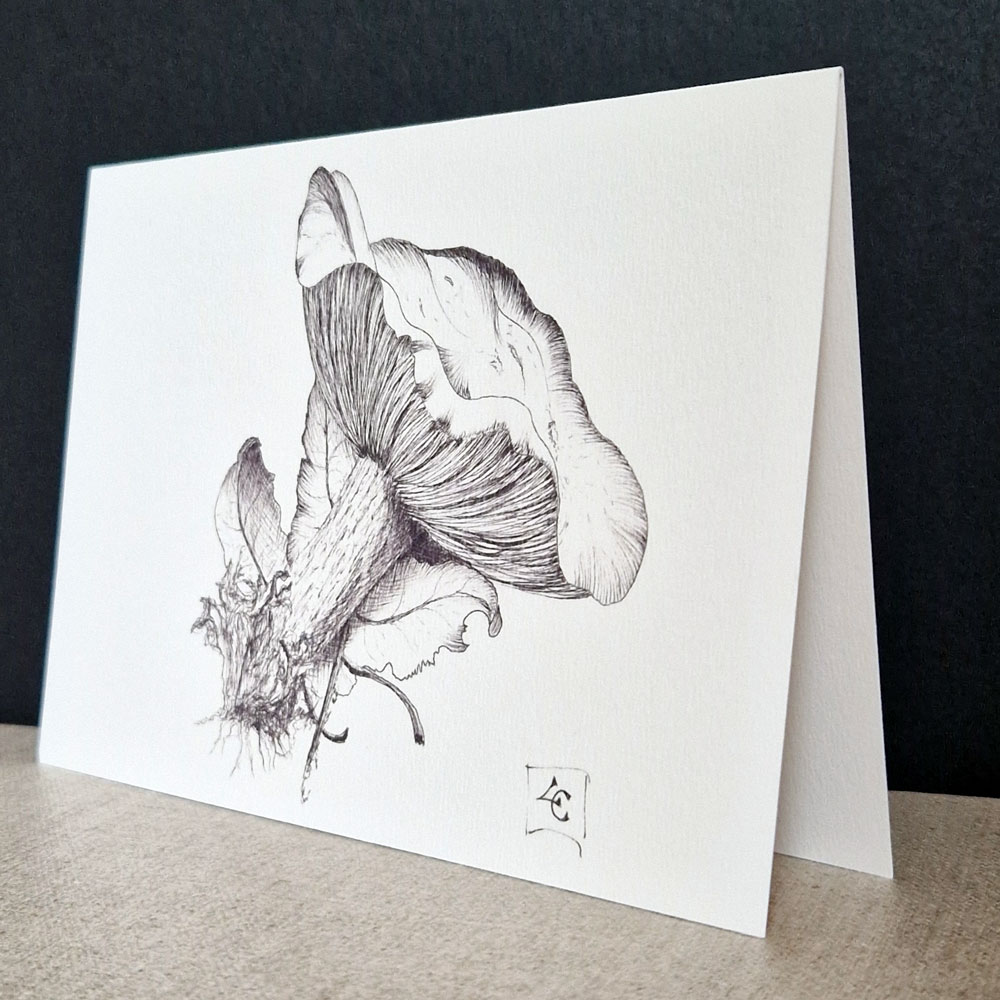 Champignon noir et blanc 1 Champignon a l'(encre de chine finesse du trait et idée pour envoyer une carte postale botanique