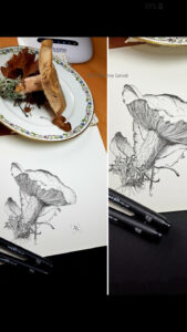 champignon-inspiration-en-cours-cp-c
