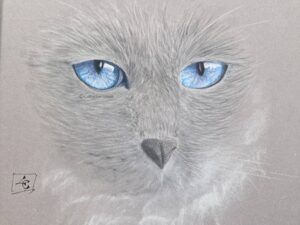 dessin chat pastel