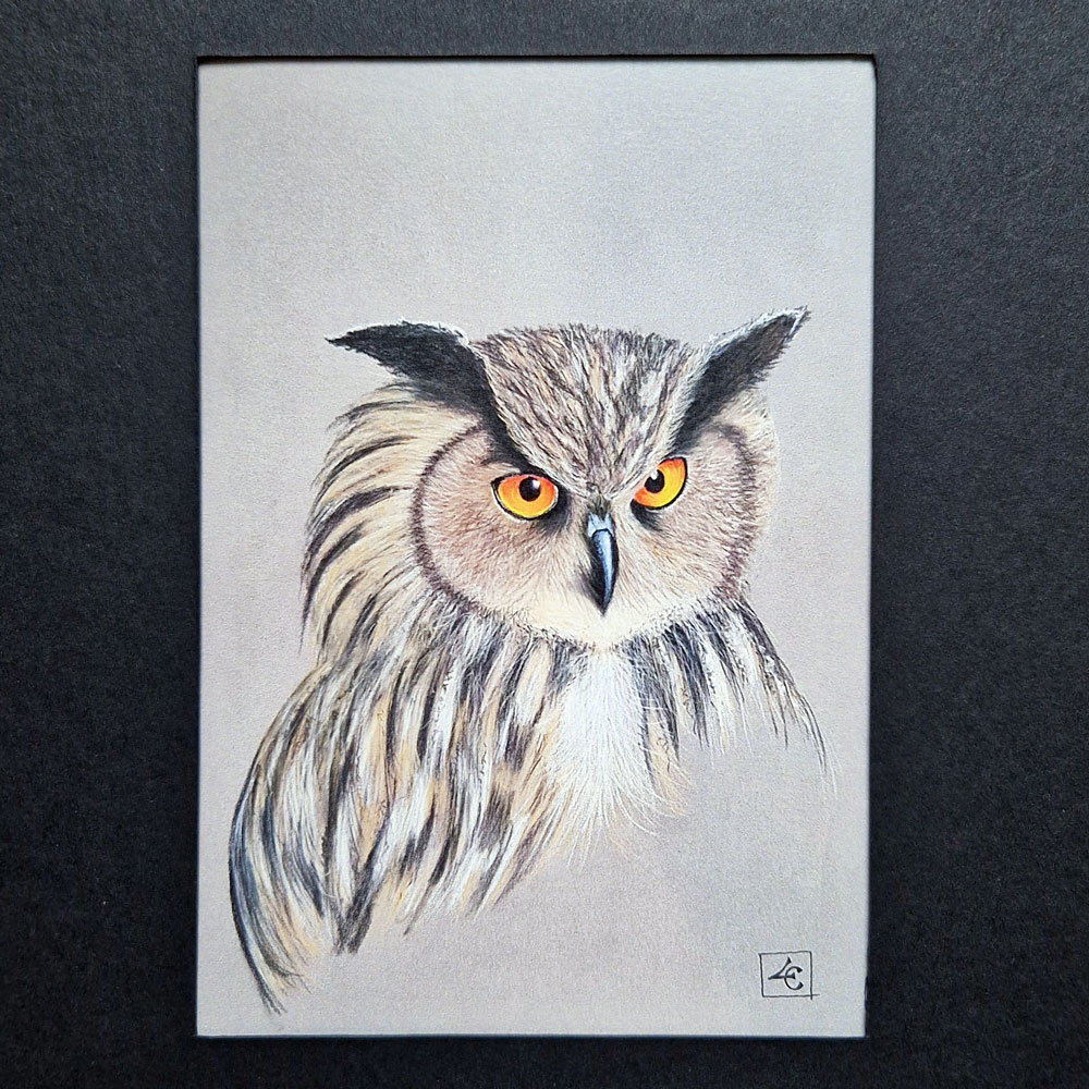 Chouette 2 Chouette – Image 2