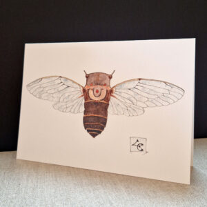 Cigale toutes ailes ouverte encre et aquarelle carte postales