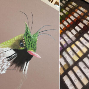 dessin d'un colibri en pastel en cours de création