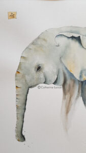 éléphant-a-c