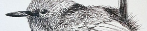 Encre de chine et tech. mixtes