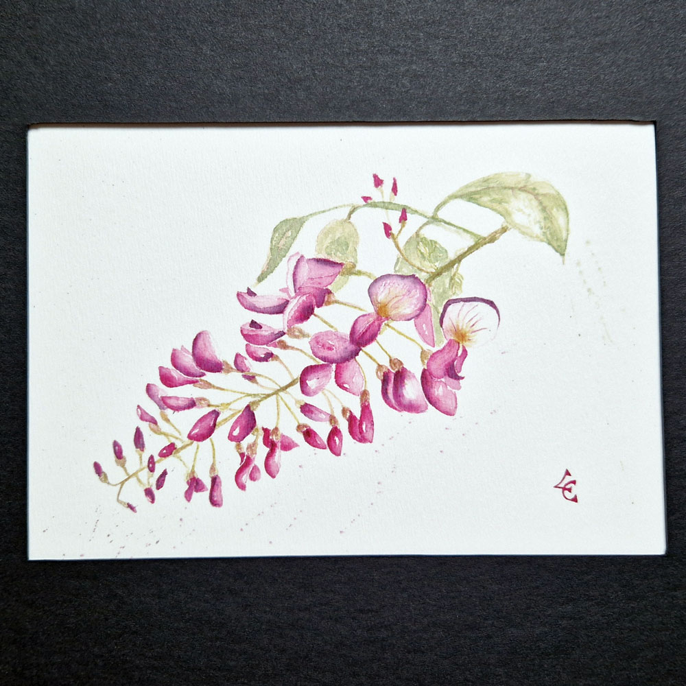 Glycine 2 Glycine – Image 2