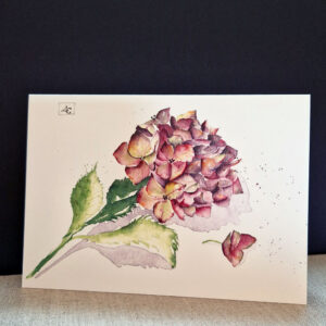 l'hortensia en carte postale catherine lanoe