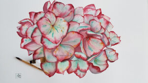hortensia-turquoise-rouge-grand-format-a-c