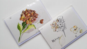Set N°5 : 2 hortensias