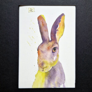 Lapin vert violet