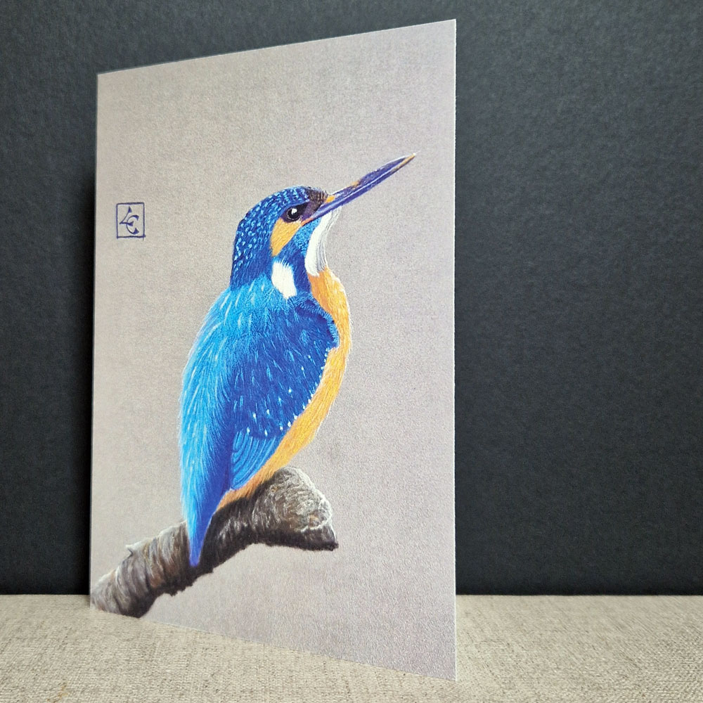 Martin pêcheur 1 martin pêcheur bleu carte d'art au pastel