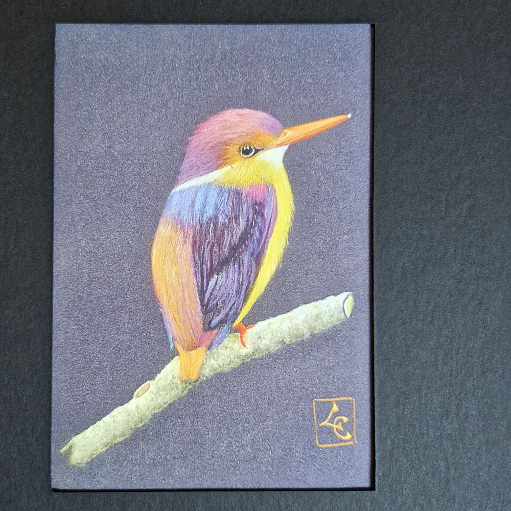 Martin pêcheur multicolore 3 Un martin pécheur multicolore dessiner aux pastel sur carte