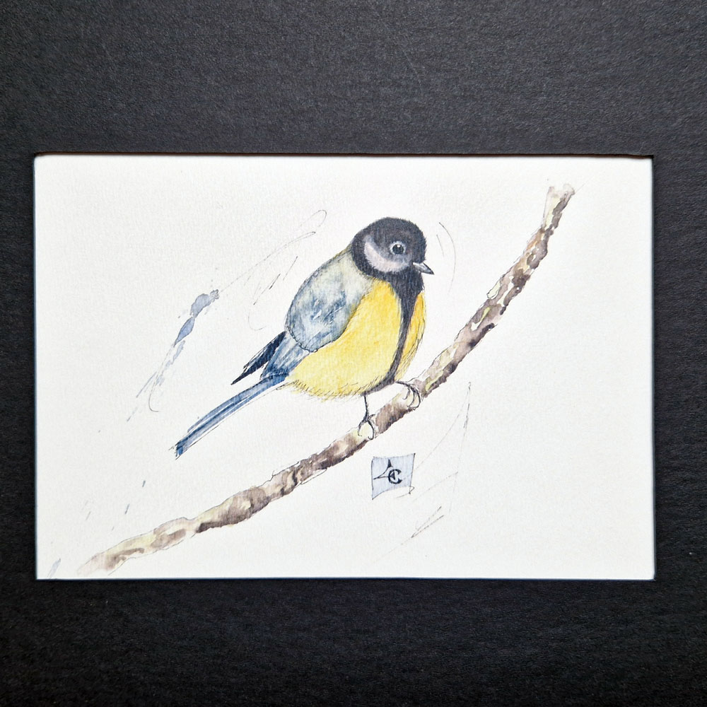 Mésange 2 Mésange – Image 2