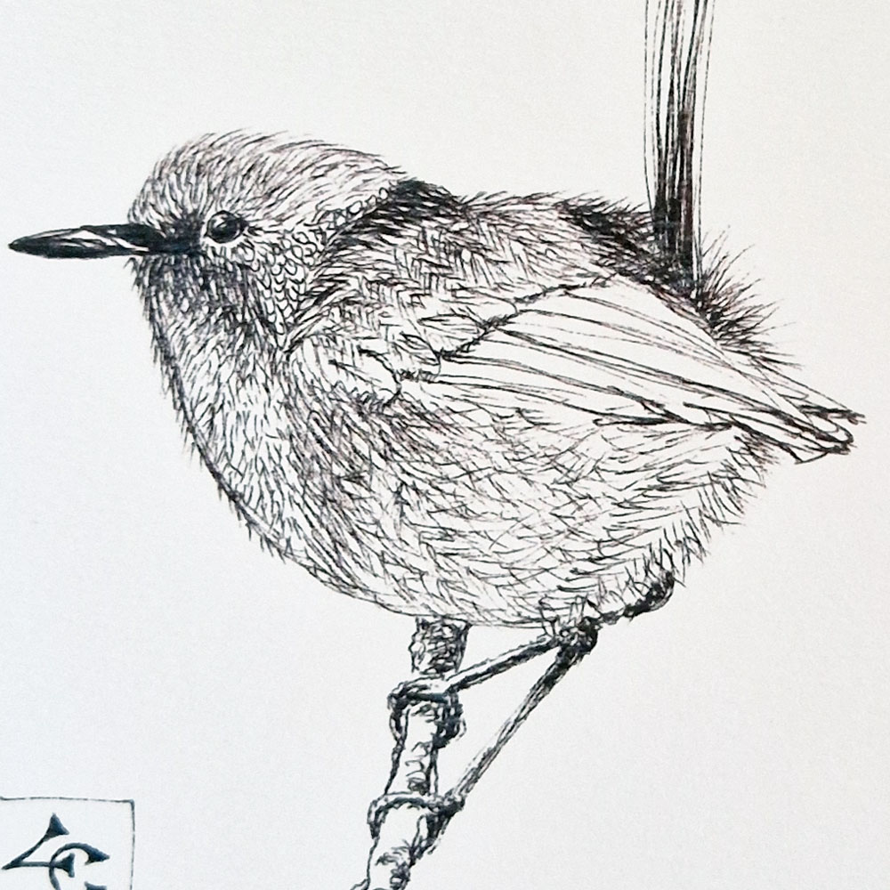 Mon piou piou 3 Mon piou piou – Image 3