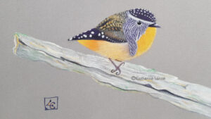 dessin fincher pastel