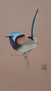 dessin oiseau turquoise pastel