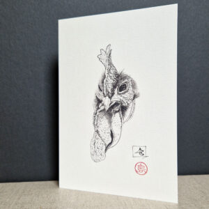 encre de chine pour ce portrait de coq