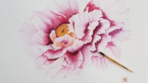 aquarelle d'une Fleurs de pivoine ouverte coeur jaune et jeux de rose