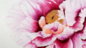 Aquarelle végétale une pivoine