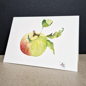 Pomme et feuilles