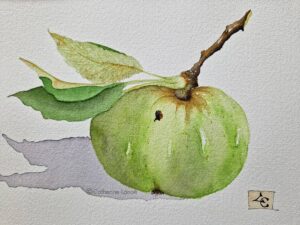 pomme verte et aquarelle