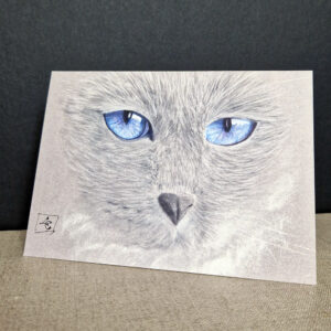 la profondeurs des yeux bleus du chat pour cette carte a l'aquarelle