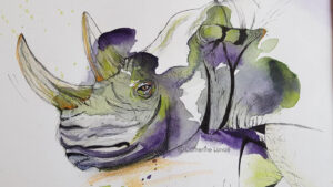 Rhinocéros en peinture aquarelle tache de couleur et trait a l'encre