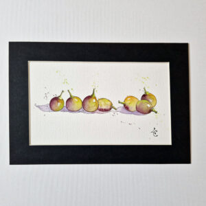Ribambelles de raisins