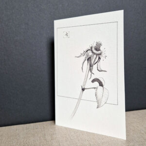Dessin d'une rose à l'encre de Chine sur une carte postale d'art, mettant en valeur les détails délicats et les contours élégants de la fleur