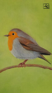 dessin rouge gorge pastel