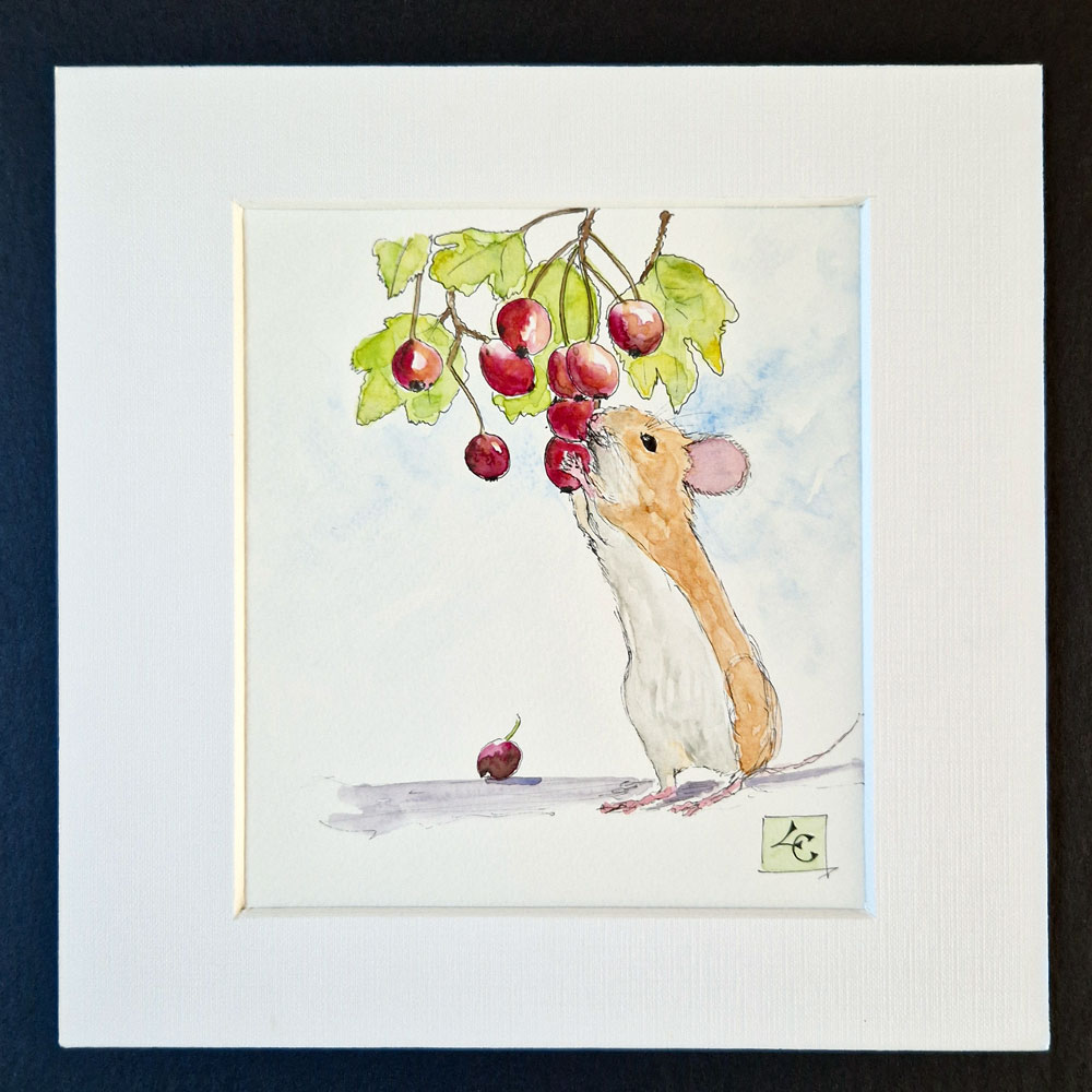 Souris gourmande 1 Souris gourmande